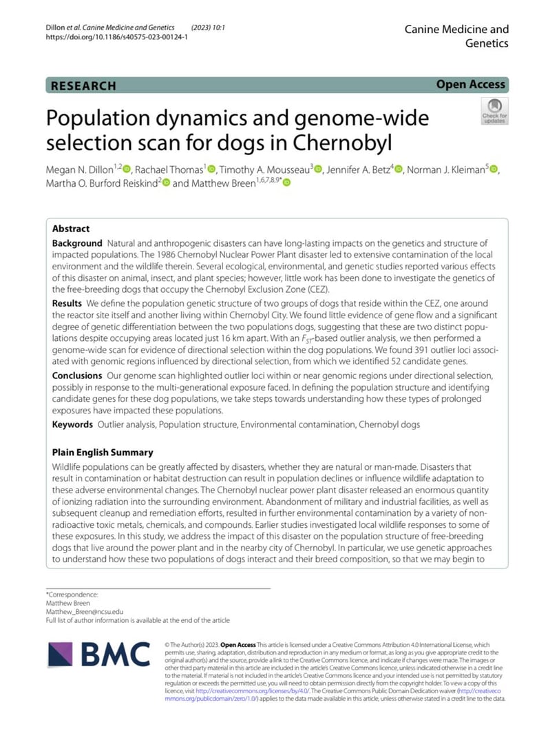 Population dynamics and genome‑wide selection scan for dogs in Chernobyl