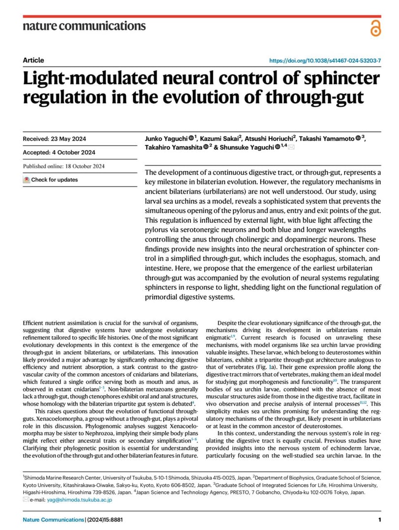 Light-modulated neural control of sphincter regulation in the evolution of through-gut