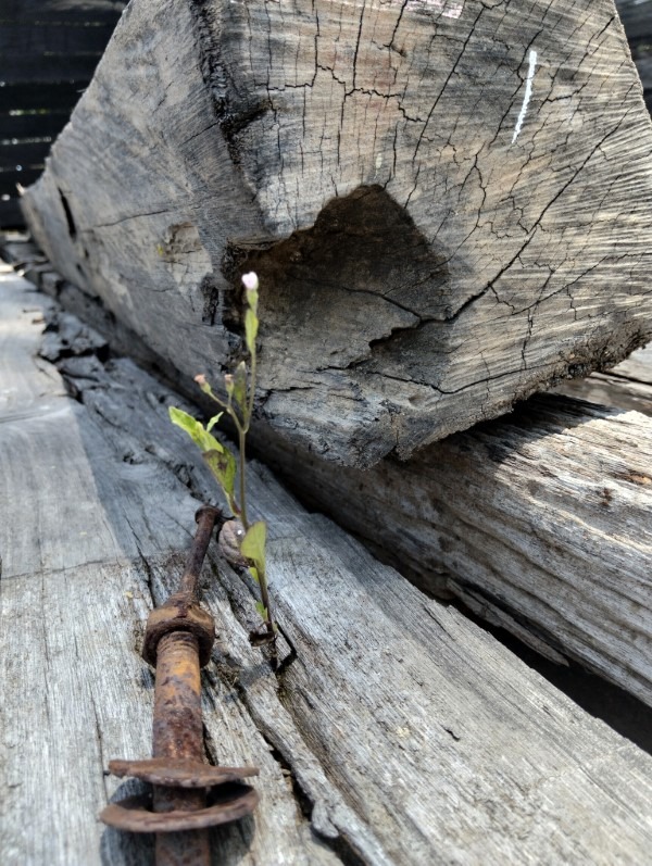 Why Reclaimed Wood Is the Future of Sustainable Architecture in Bali
