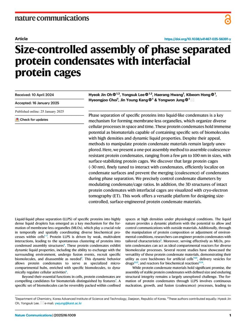 Size-controlled assembly of phase separated protein condensates with interfacial protein cages
