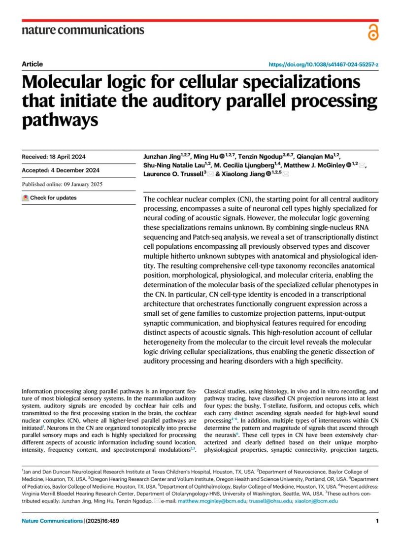 Molecular logic for cellular specializations that initiate the auditory parallel processing pathways