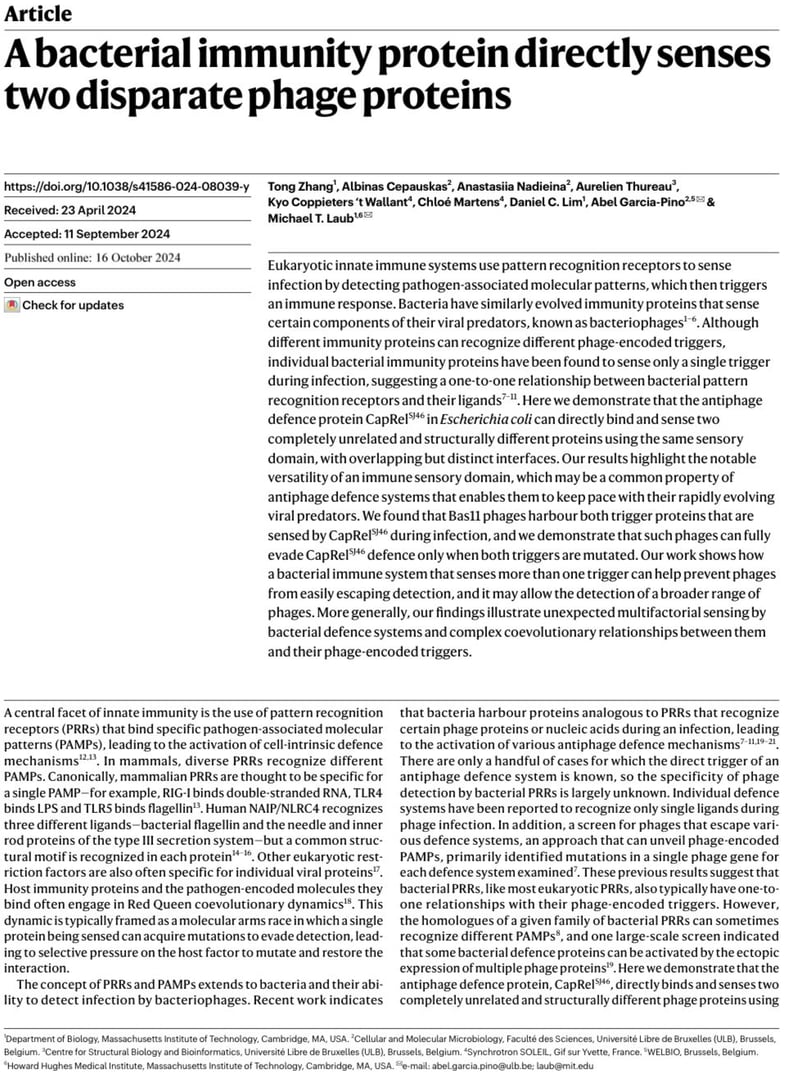 bacterial immunity, phage, PRR, CapRel546, coevolution, molecular recognition