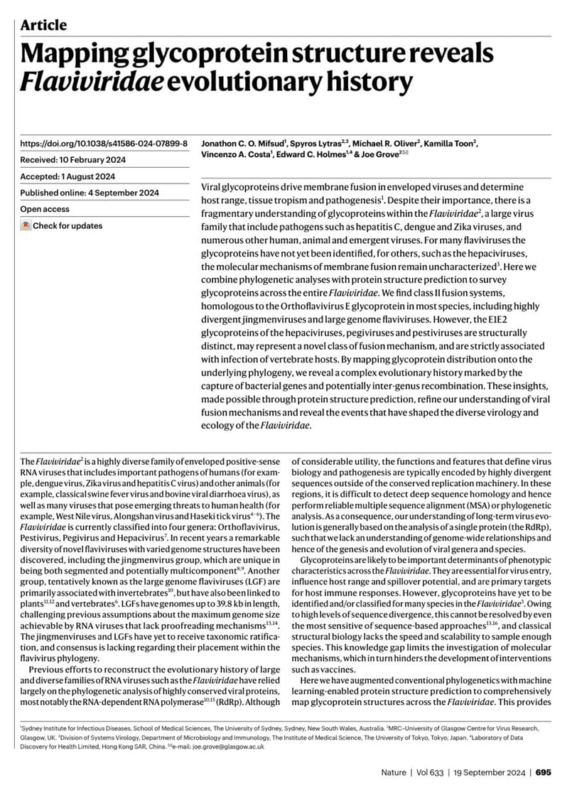Mapping glycoprotein structure reveals Flaviviridae evolutionary history