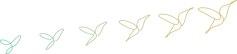 représentation graphique de l'évolution d'un projet, par l'envol du colibri