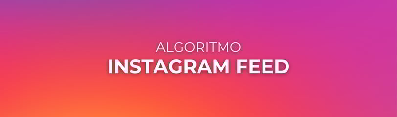 separador instagram feed