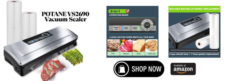 a vacuum food sealer