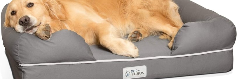 a golden retriever laying on a dog bed