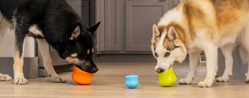 two dogs playing with West Paw Zogoflex Toppl in a kitchen