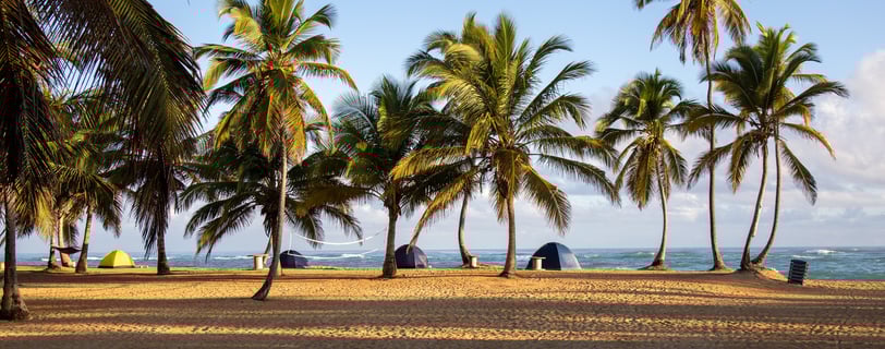 Camping on a palm-lined beach in the Dominican Republic near the Caribbean Sea