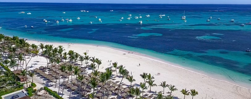 a beach with palm trees and a view of the ocean
