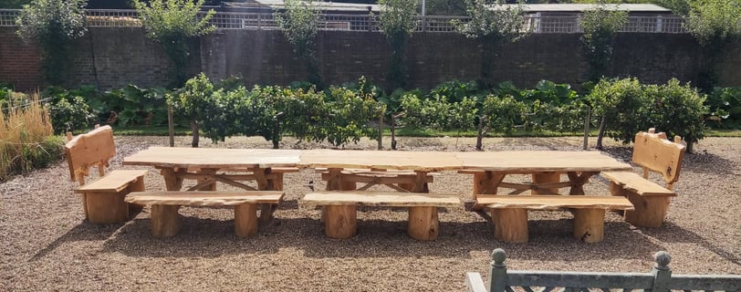 a table with benches and benches in a garden