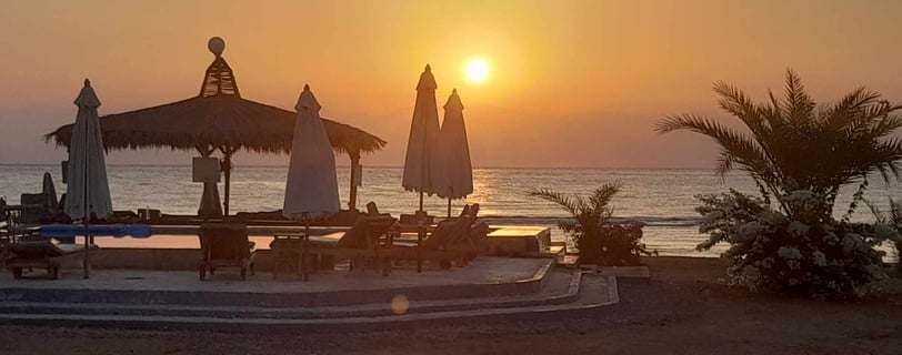 un'alba su una spiaggia con ombrelloni