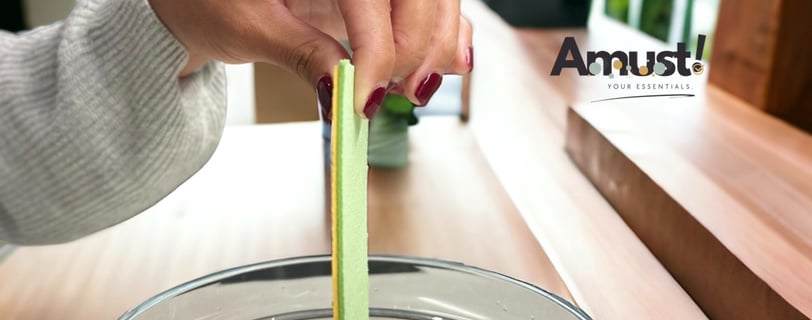 Natural Sponges for kitchen