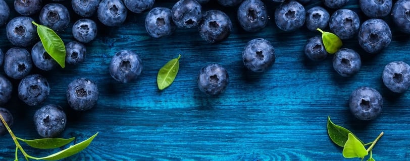 Arándanos frescos sobre fondo azul con hojas verdes: una fuente rica en antioxidantes que protege el