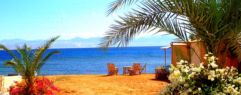 Una platja amb flors i palmeres davant del mar, gran ambient per a unes vacances en família