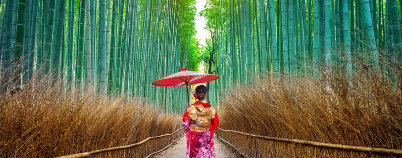Dress up in kimono for a photoshoot at famed Arashiyama Bamboo Grove of Kyoto