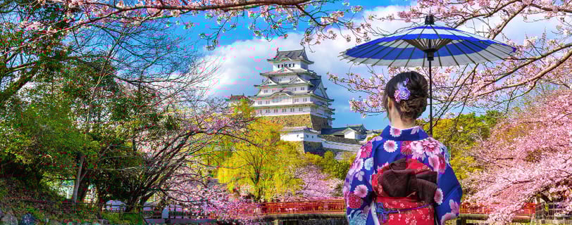 Girl dressed in kimono looking across at the majestic Osaka Castle
