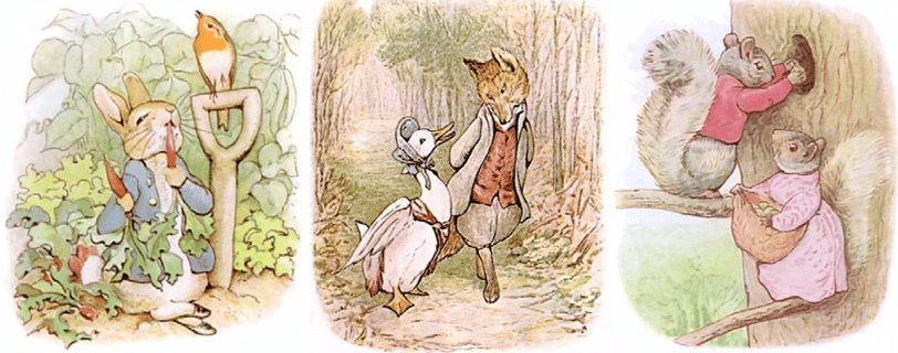 Beatrix Potter Drawings