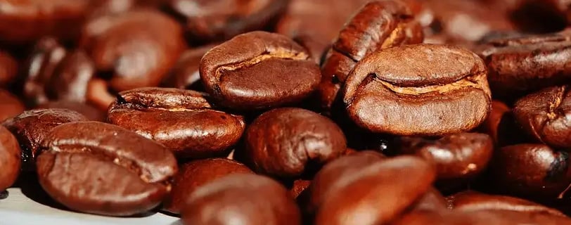 How Does Caffeine Shampoo Combat Hair Loss?