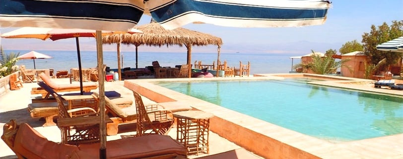 Estrela beduína ras shitan descansando sob o guarda-chuva