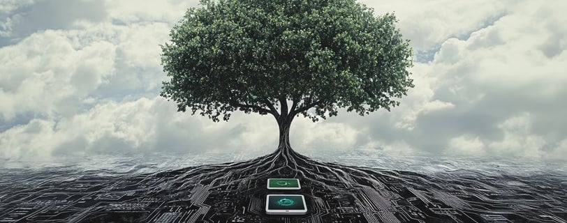 a tree growing from a computer monitor screen