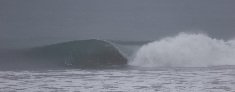 perfect pick on a cloudy and blurry day