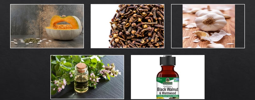 Herbal Warriors Against Parasites
