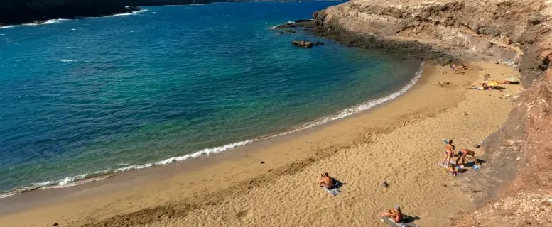 Playa de Aguadulce Gran Canaria Hund