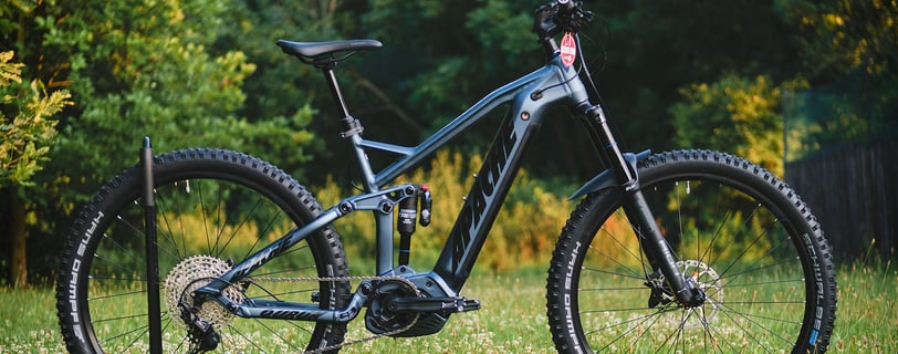 a bicycle is parked in the grass near a tree