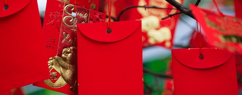 Chinese year of snake 2025, featured on MyTripJunction.com travel blog.
