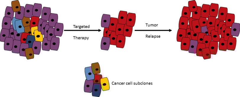 intratumor heterogeneity