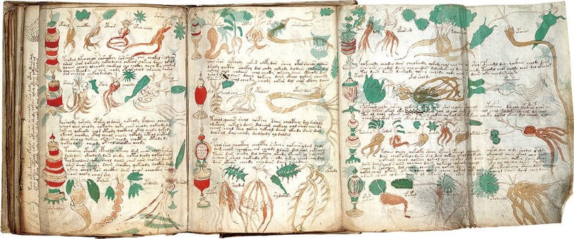 Manuscrito Voynich