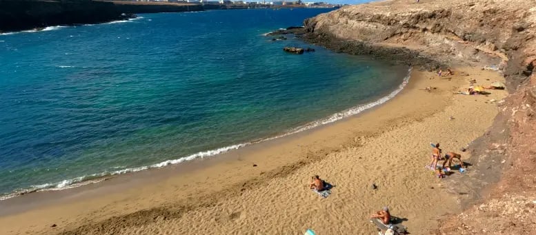 Playa de Aguadulce Dog Gran Canaria
