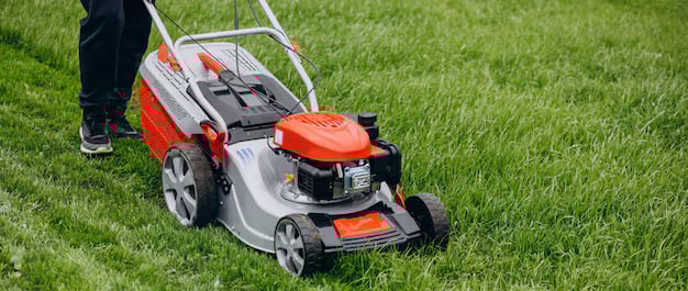lawn maintenance lawn mowing