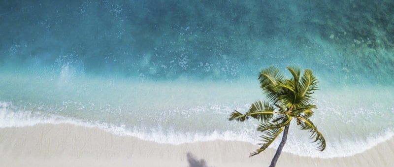 Tropical House Lose Popularity?