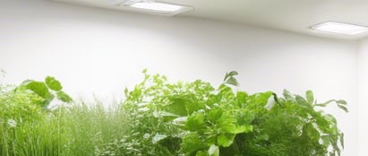 top view photo of green leafed plants in pots