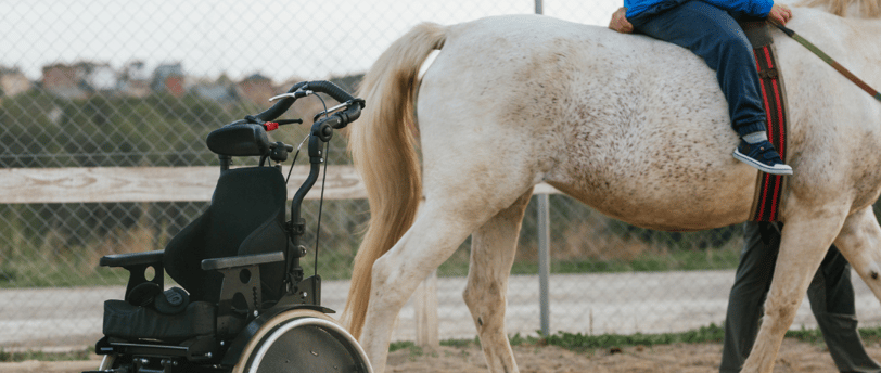 Autista e portador de necessidades especiais fazendo equina person in a wheelchair with a wheelchair