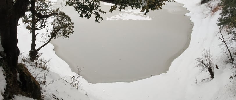 a lake surrounded by trees and snow