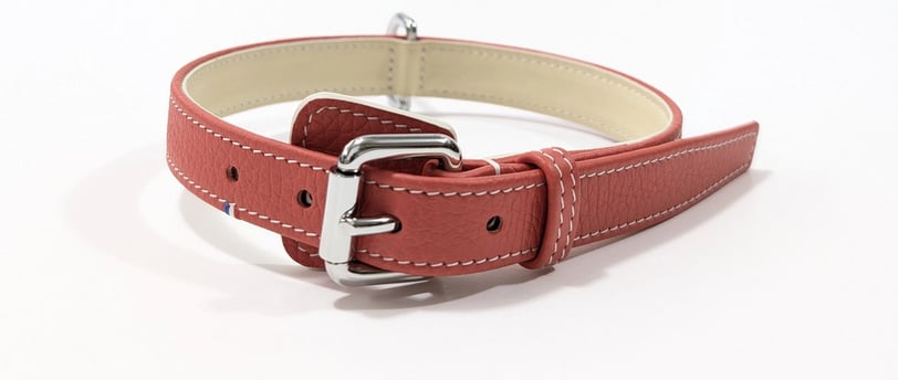 Collier de chien en cuir