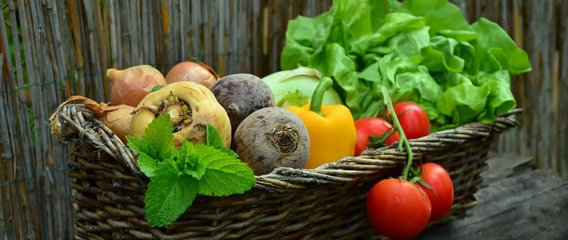Panier en osier rempli de légumes frais du jardin : laitue, tomates, betteraves, poivron jaune