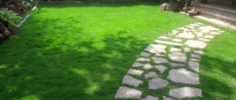 Beautiful backyard with lawn and tiles