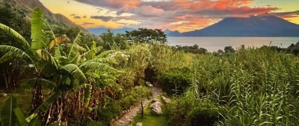 tropical garden overlooking a lake and volcano in Guatemala