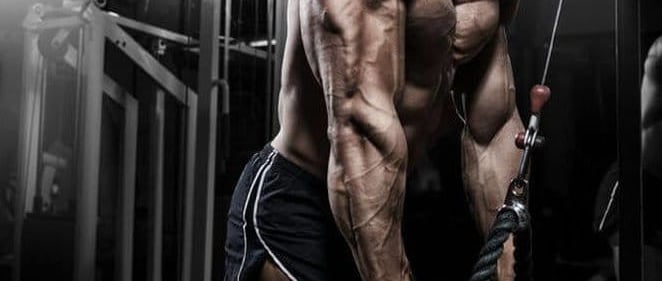 Treino GVT: Como fazer e o que é