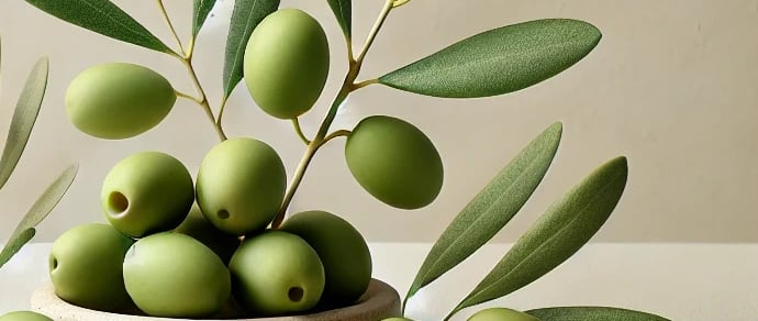 Squalane végétal bio dérivé de l'huile d'olive pour une hydratation intense et protection anti-âge