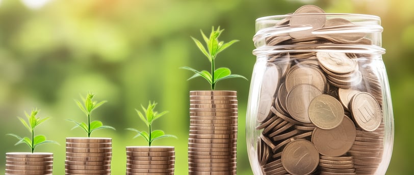 coins with leafs sprouting symbolizing growth and investing