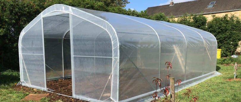 serre de jardin pour tomates