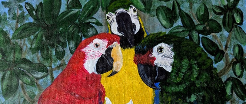 Three macaws in a magnolia tree small acrylic pet portraiture painting.
