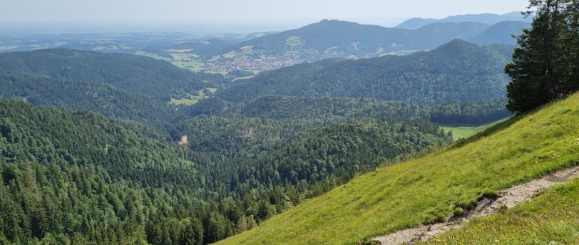 Aussicht vom Gipfel der Baumgartenschneid in Richtung Schliersee