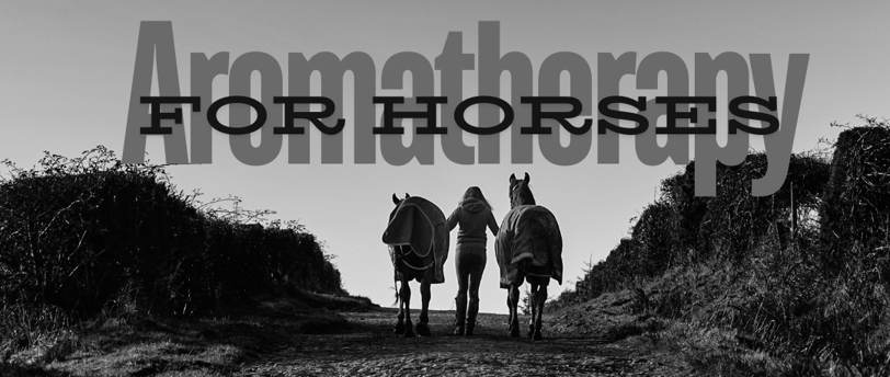 a woman walking down a dirt road with two horses and the words  aromatherapy for horses