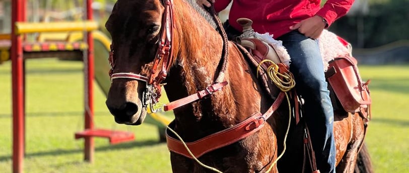 a man in a red shirt and hat riding a horse